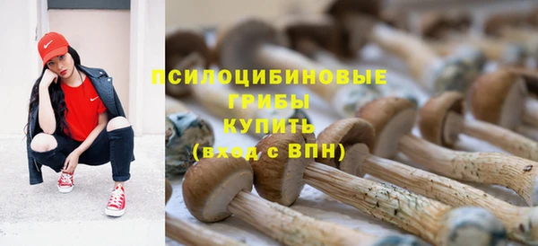 спиды Заволжск